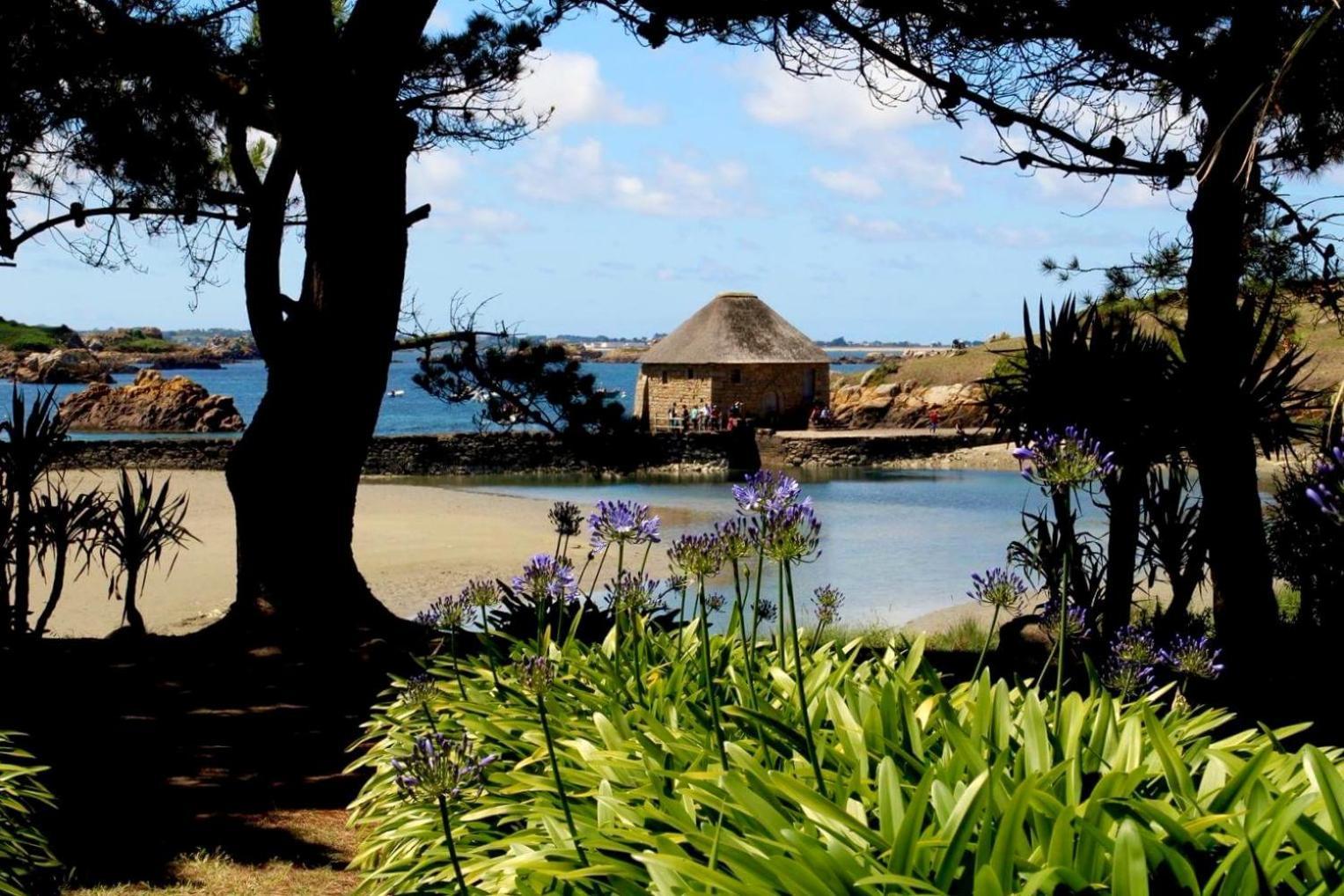 Le Loarwenn * Paimpol