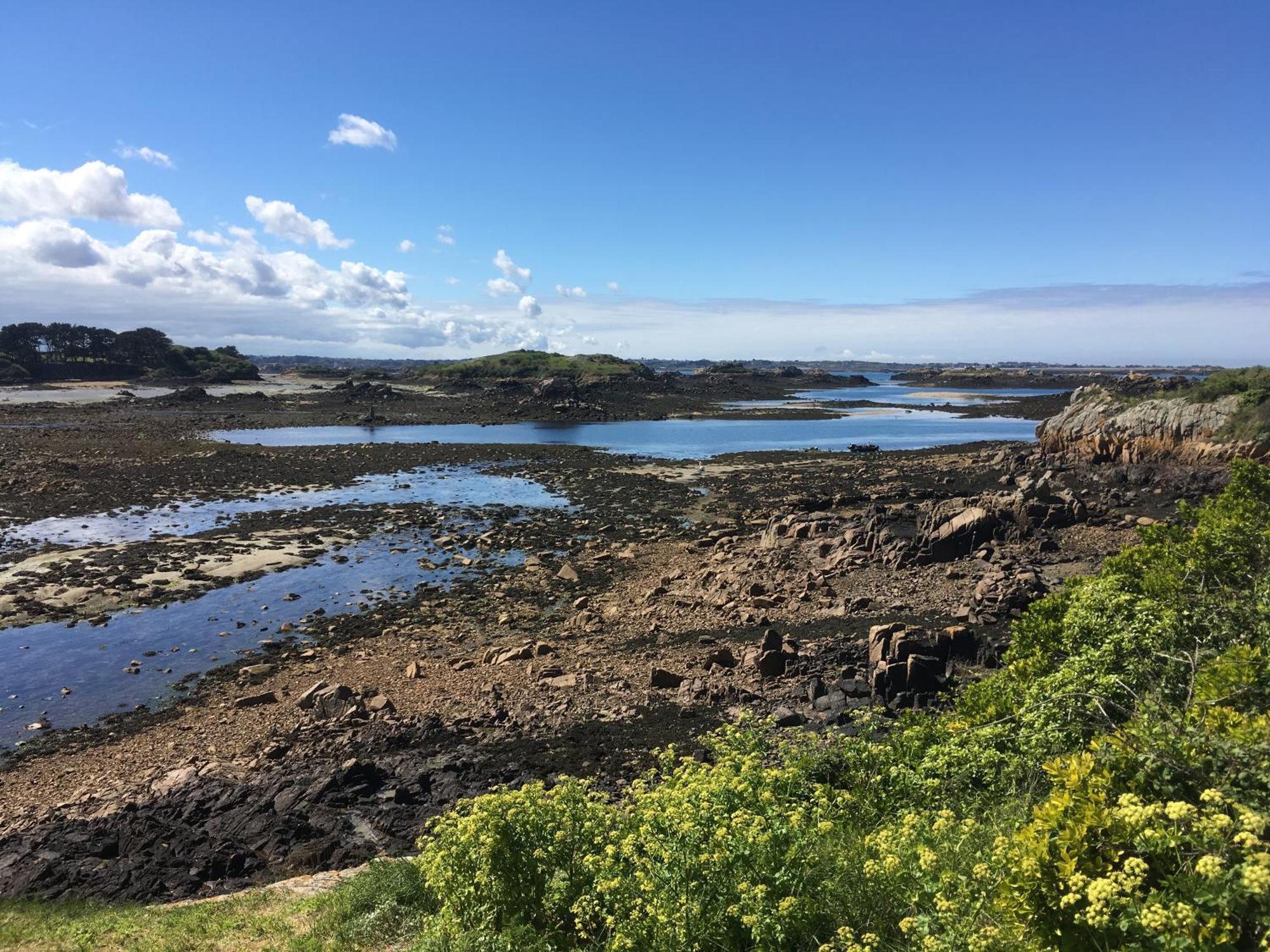 Le Loarwenn * Paimpol